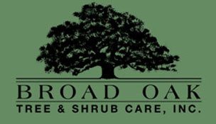 Broad Oak Tree & Shrub Care, Inc